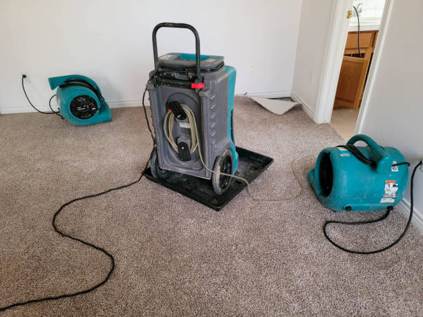 Water damage restoration experts in Hutto, TX