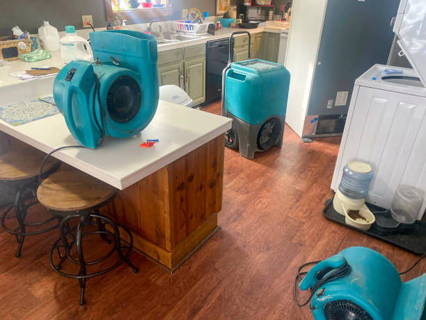 Best Flood damage cleanup  in Hutto, TX