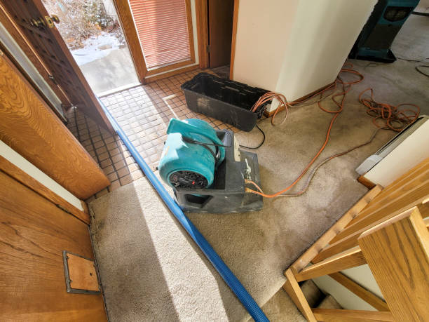  Hutto, TX Water damage restoration Pros