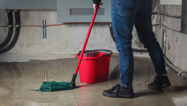 Best Water damage contractors near me  in Hutto, TX