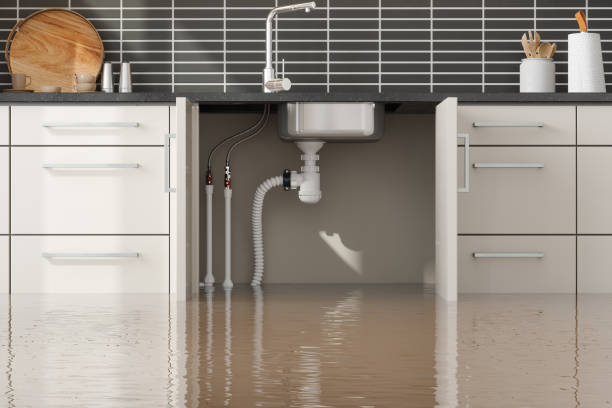 Best Water damage contractors near me  in Hutto, TX